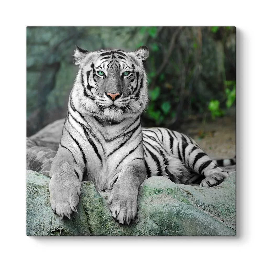 Bengal Kaplanı Tablosu - Model 3